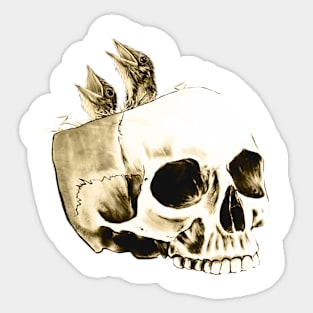 Birdnest skull Sticker